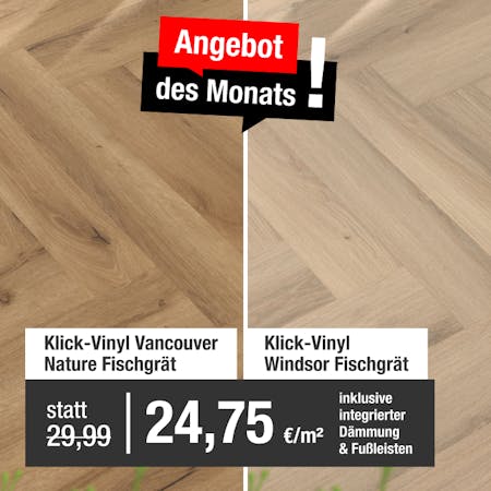 Angebot des Monats