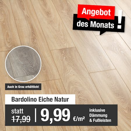 Angebot des Monats