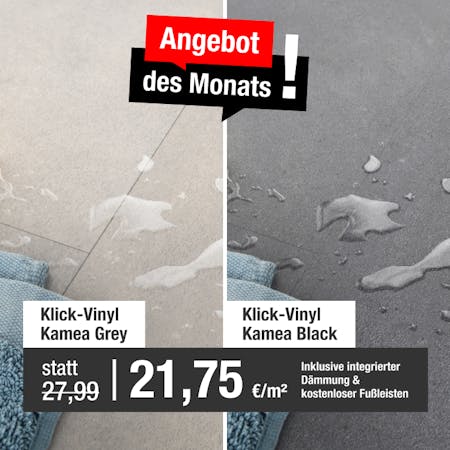 Angebot des Monats