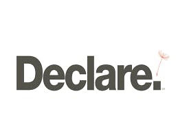 Logo -  Declare