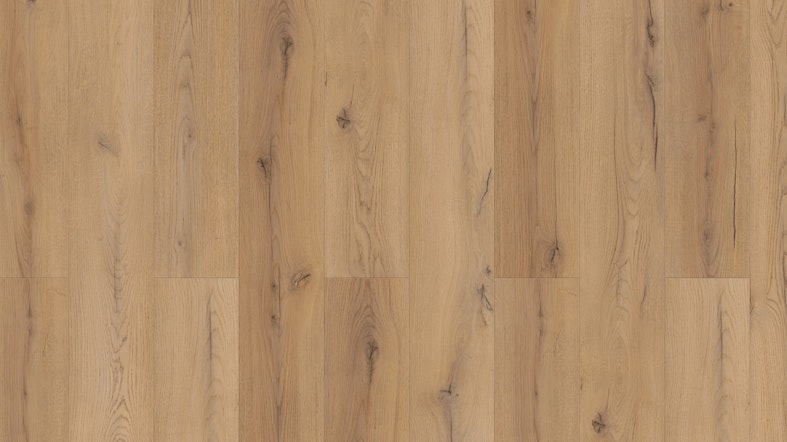 Laminat Kronotex Superior Standard Plus Century Oak beige Produktbild Musterfläche von oben schräg zoom