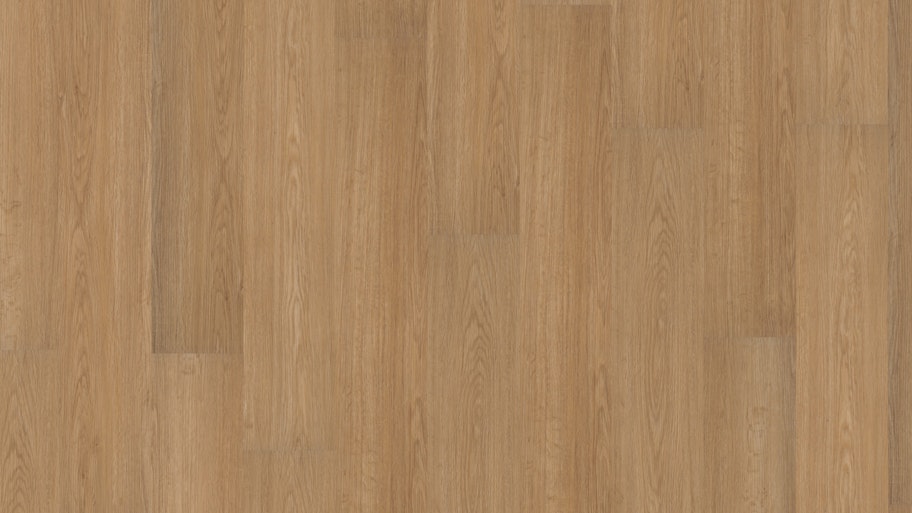 Klebe-Vinyl BoDomo Sibirian Pine Produktbild