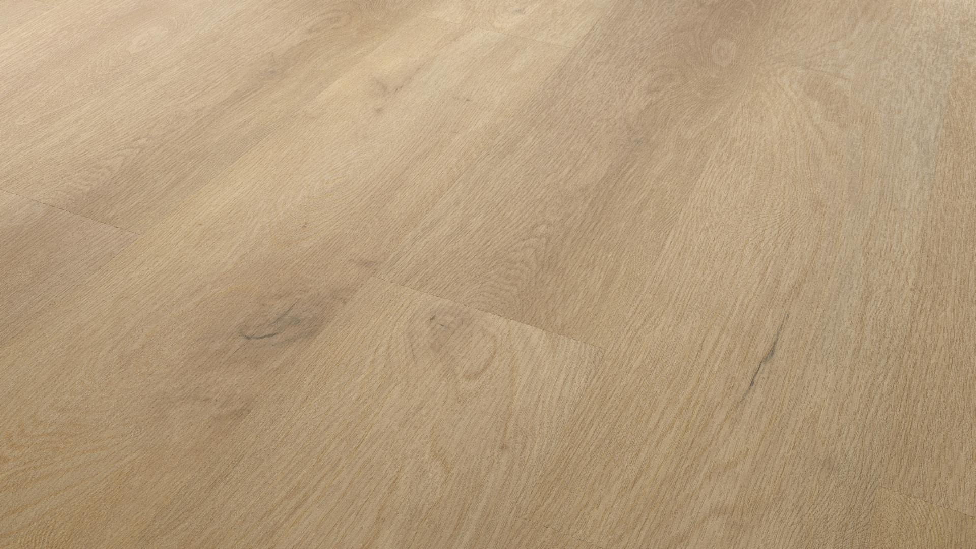 Forest Produktbild rendering9 zoom