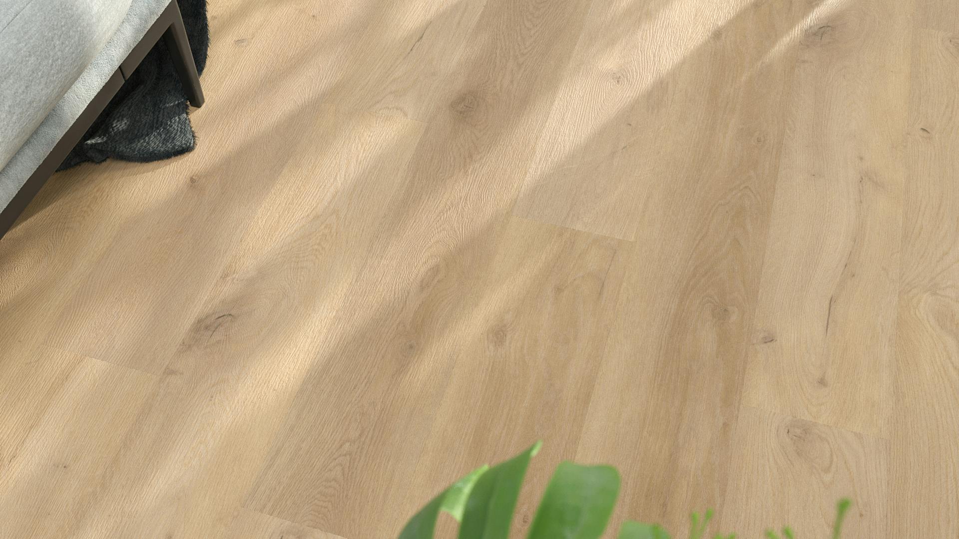 Forest Produktbild rendering8 zoom