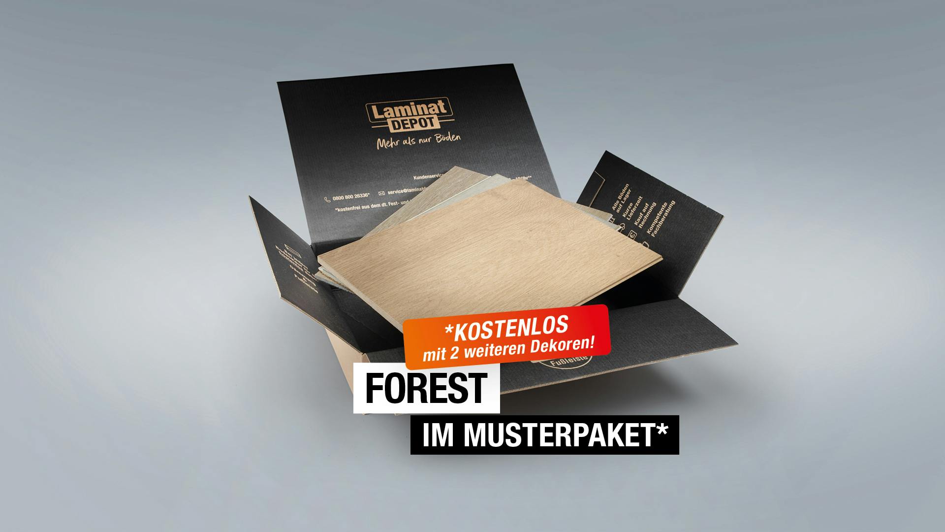 Forest Produktbild rendering7 zoom