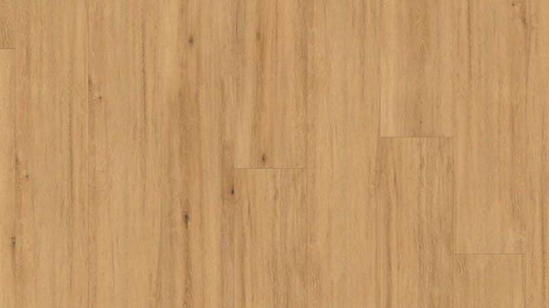 Bioboden BoDomo Premium Modesto Oak Produktbild