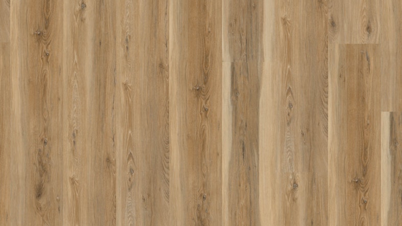 Klebe-Vinyl Windmöller Wineo 600 Wood XL #SydneyLoft Produktbild Musterfläche von oben schräg zoom