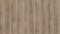 Klebe-Vinyl Windmöller Wineo 600 Wood #SmoothPlace Produktbild Musterfläche von oben schräg zoom