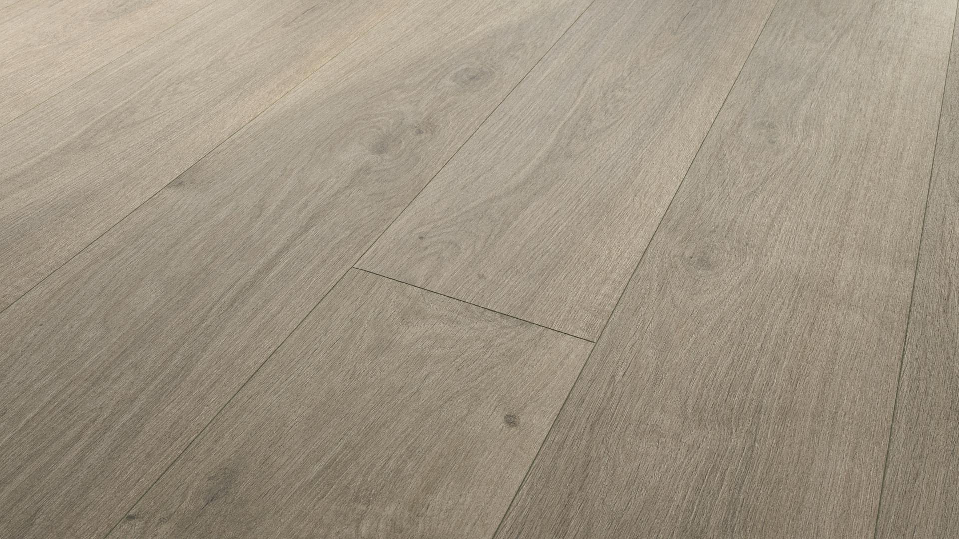 Laminat BoDomo Klassik Tajo Eiche Grau Produktbild rendering9 zoom