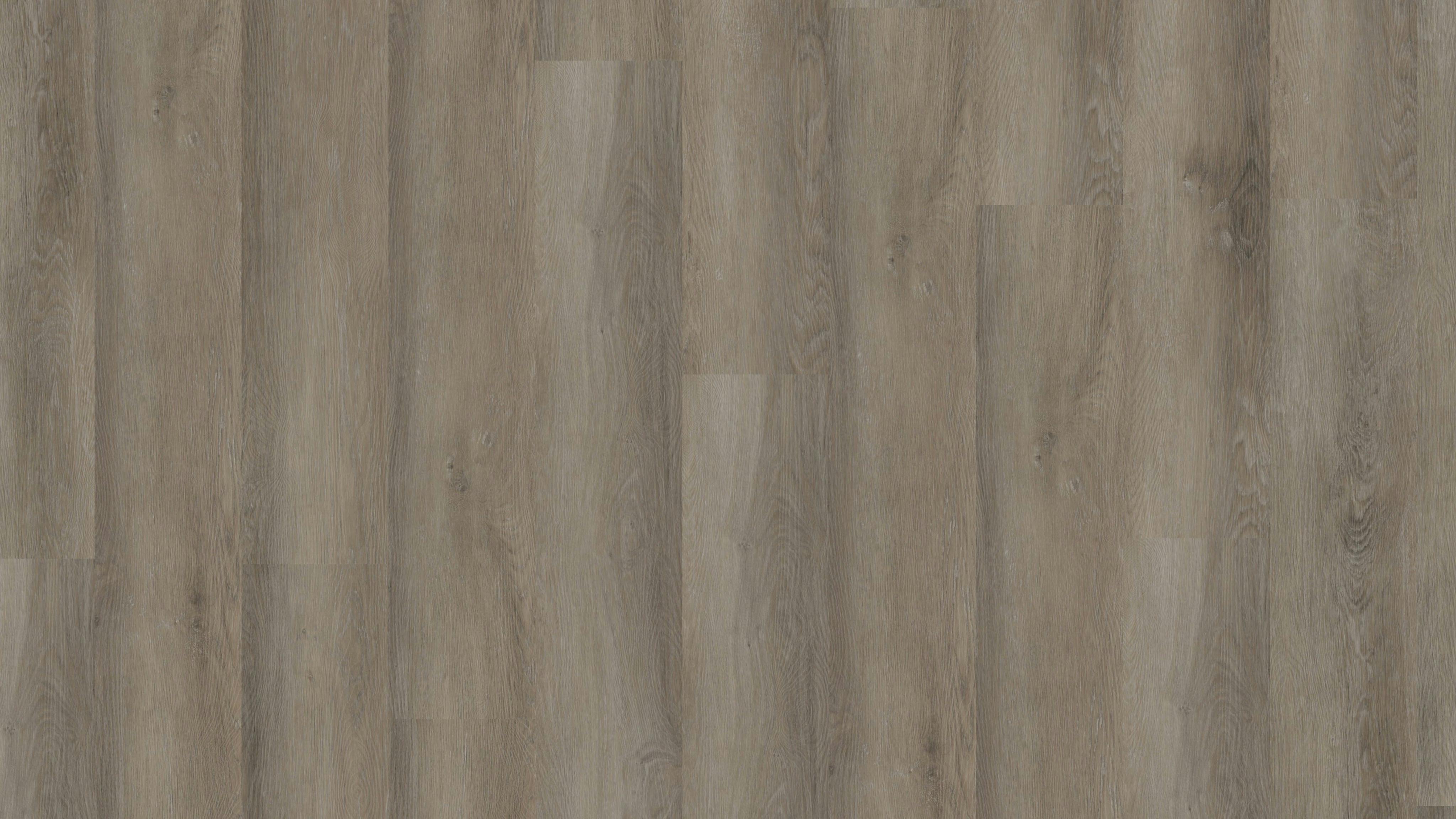 Atacama Oak Grey Produktbild Musterfl&auml;che von oben schr&auml;g zoom