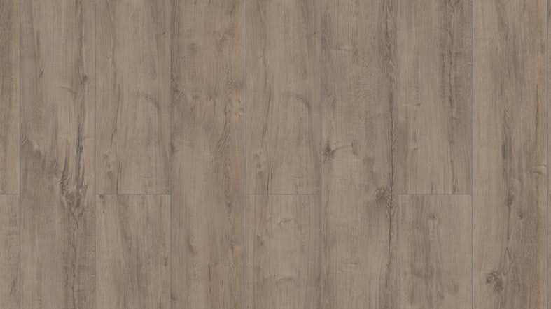 Laminat Kronotex Advanced Plus Welsh Oak Grau Produktbild Musterfläche von oben schräg zoom
