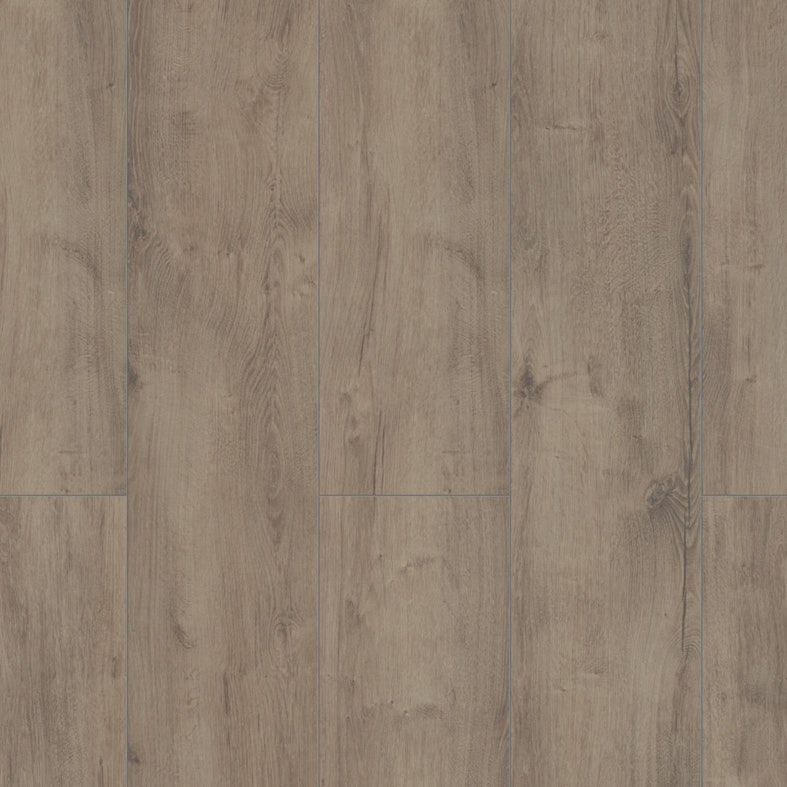 Laminat Kronotex Advanced Plus Welsh Oak Grau Produktbild Musterfläche von oben schräg zoom