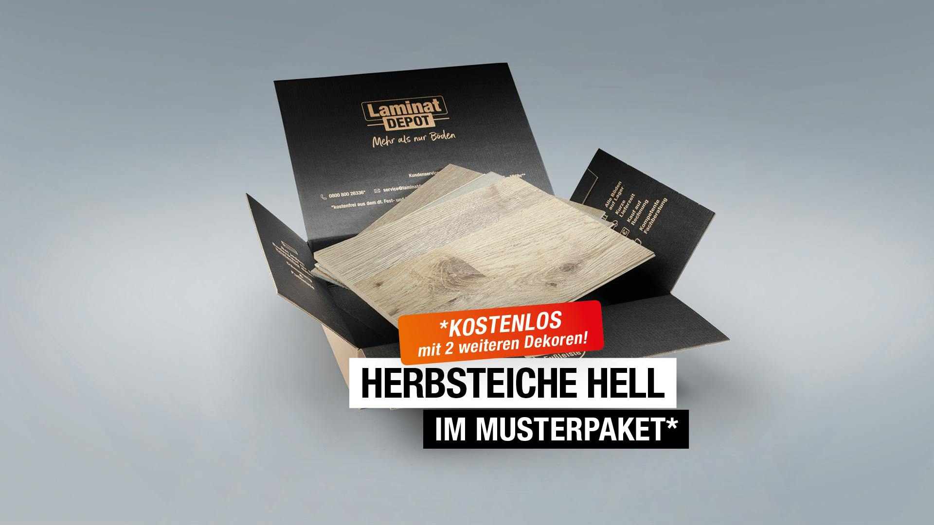 Laminat Kronotex Basic Herbsteiche hell Produktbild Musterfläche von oben grade zoom
