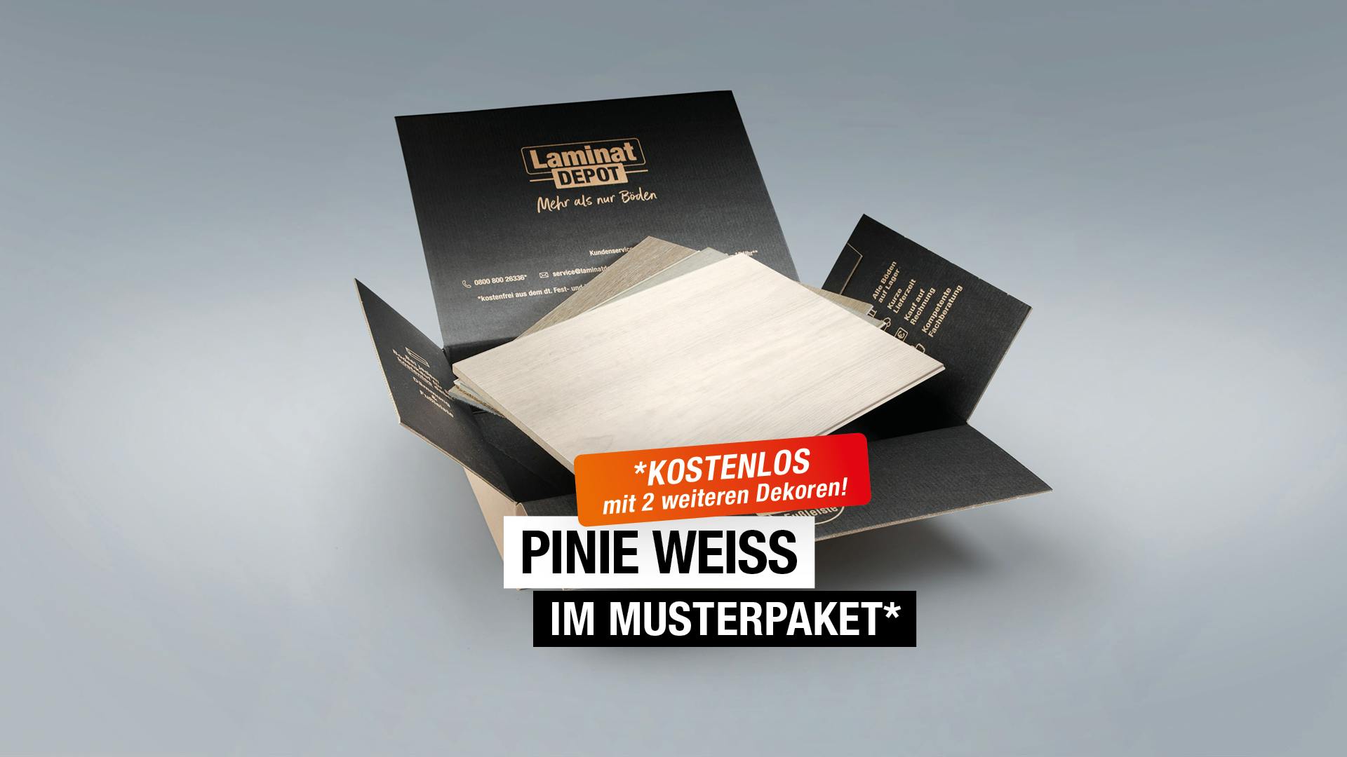 Laminat BoDomo BoDomo Exquisit Pinie weiß Produktbild Musterfläche von oben grade zoom