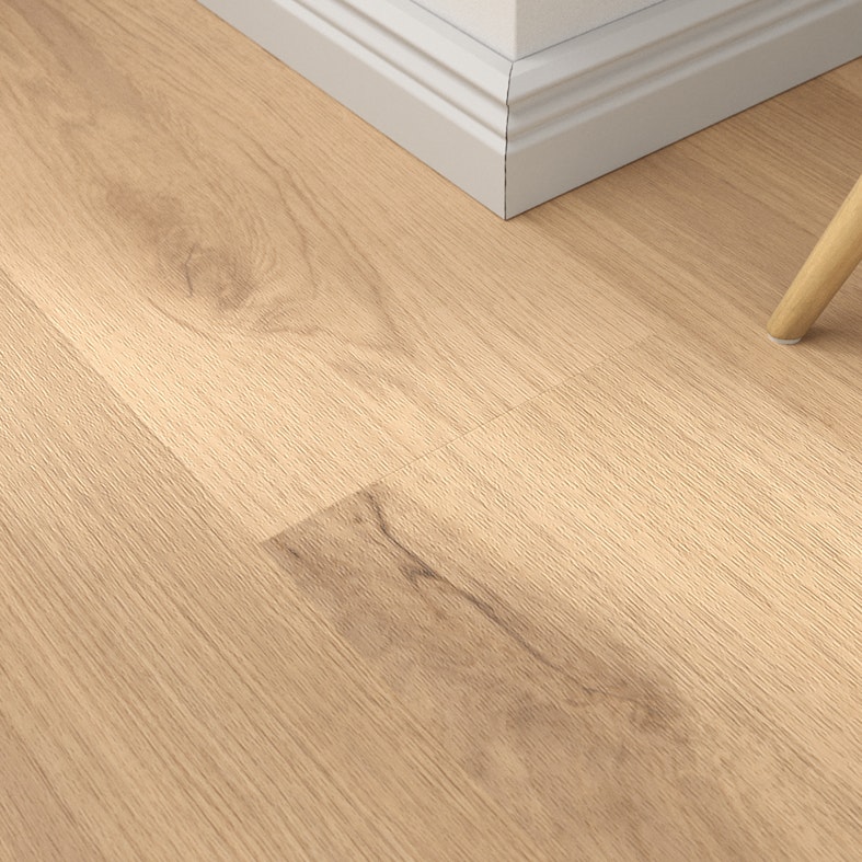 Kaschmireiche Produktbild Musterfläche von oben schräg zoom