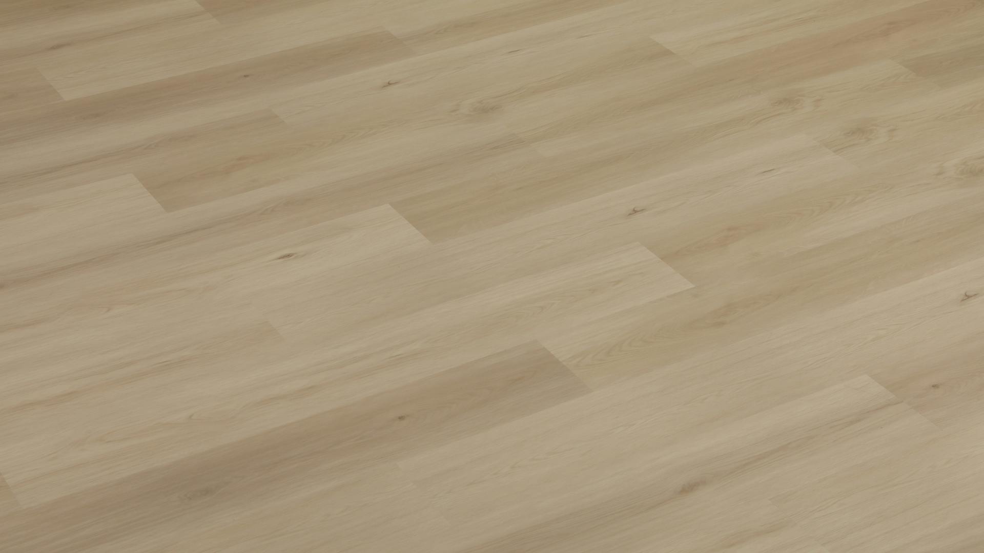 Glasmind Produktbild rendering8 zoom